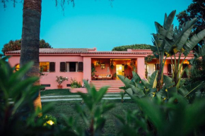 Charismatic Villa Pitanga Private pool and garden